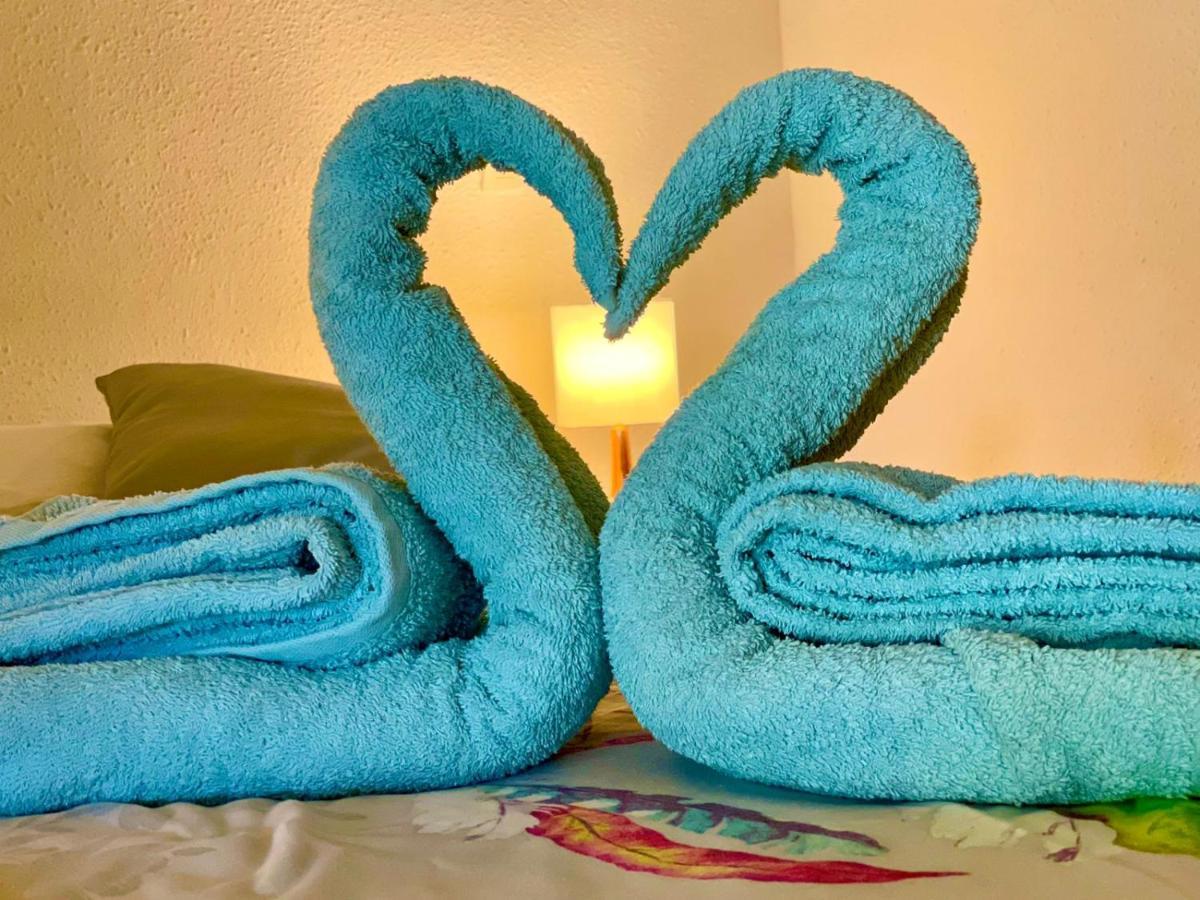 La Playa - L'Appartement Cozy - 2 A 5 Personnes Sainte-Anne  Bagian luar foto