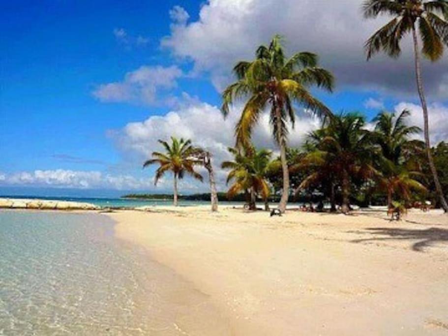 La Playa - L'Appartement Cozy - 2 A 5 Personnes Sainte-Anne  Bagian luar foto